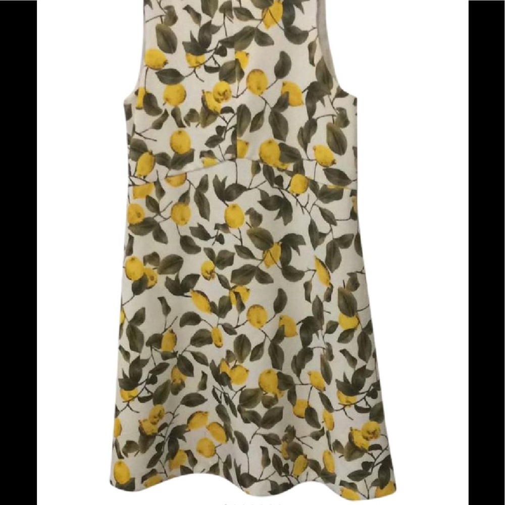 Zara Dress